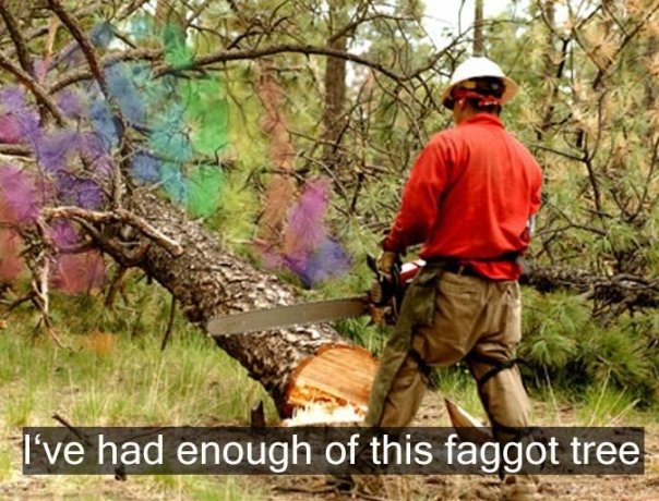 Fagtree.jpg